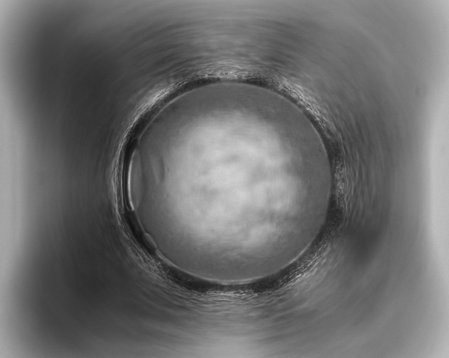 X0000096440679200801241359