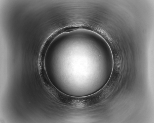 X0000096440680200801241359