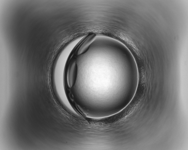 X0000096440681200801241359