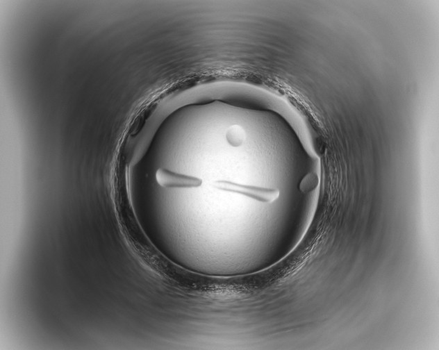 X0000096440682200801241359