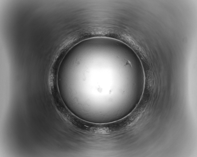 X0000096440683200801241359