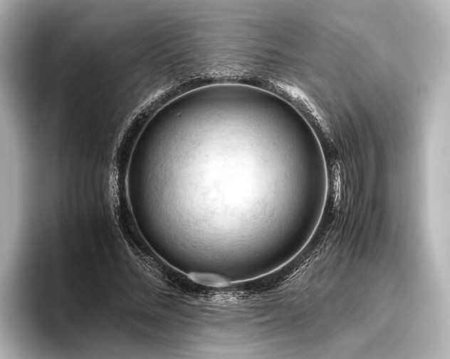 X0000096440684200801241359