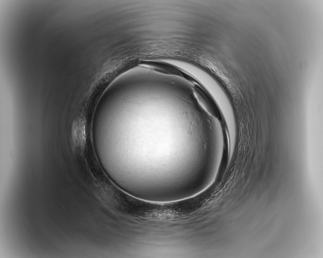 X0000096440685200801241359