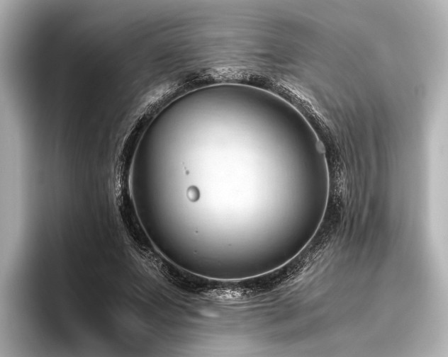 X0000096440687200801241359