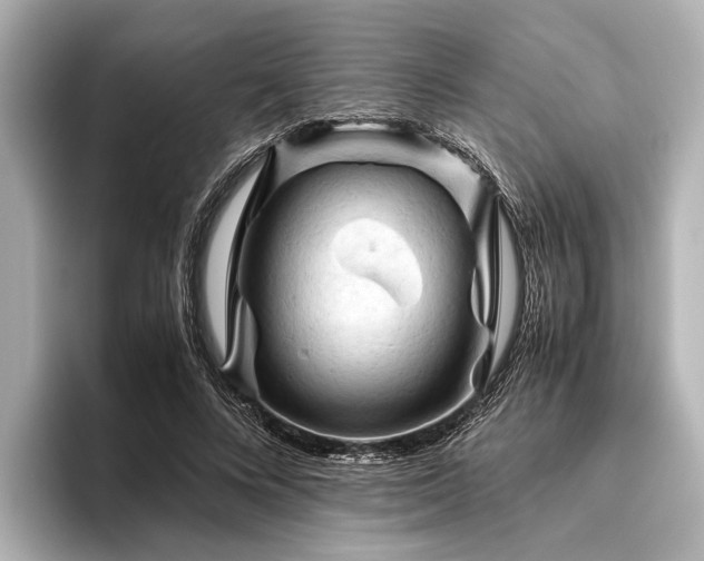 X0000096440688200801241359
