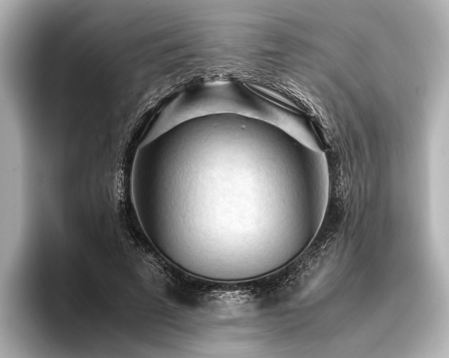 X0000096440689200801241359