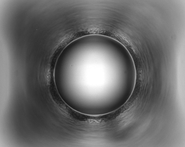 X0000096440690200801241359