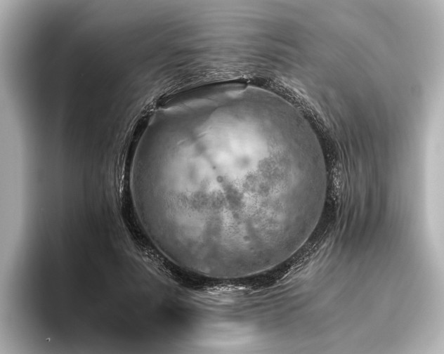 X0000096440691200801241359
