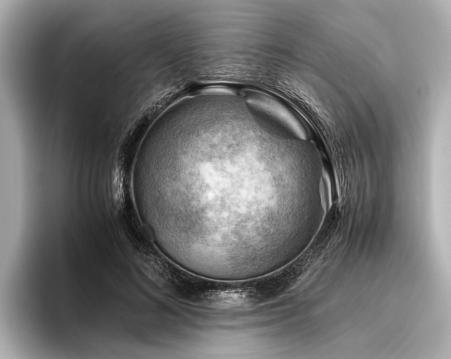 X0000096440692200801241359