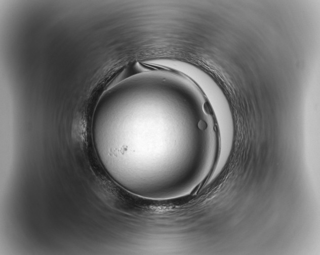X0000096440693200801241359