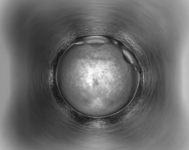 X0000096440696200801241359
