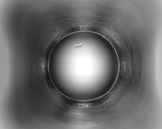 X0000096440698200801241359