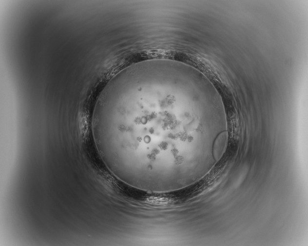 X0000096440699200801241359