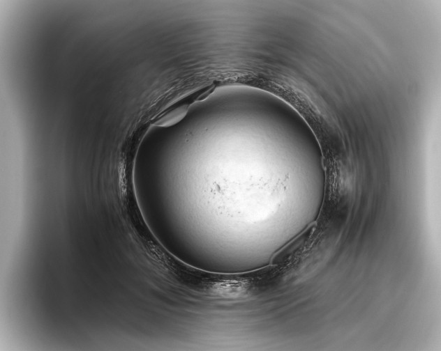 X0000096440700200801241359