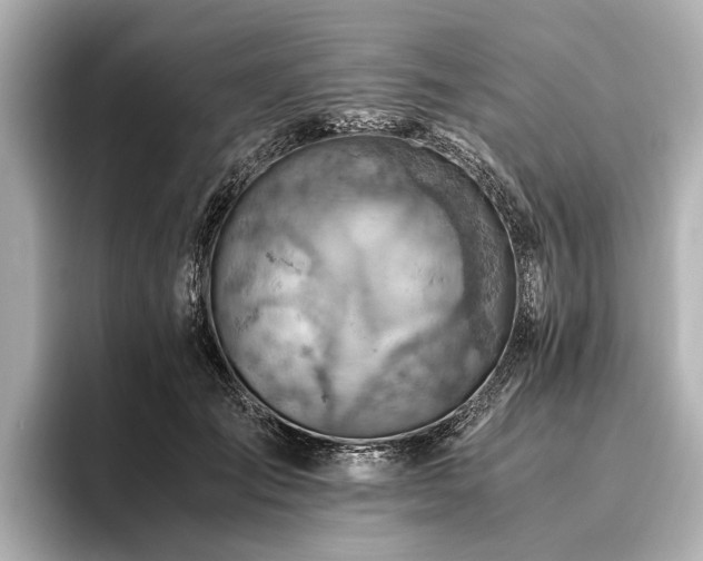 X0000096440701200801241359