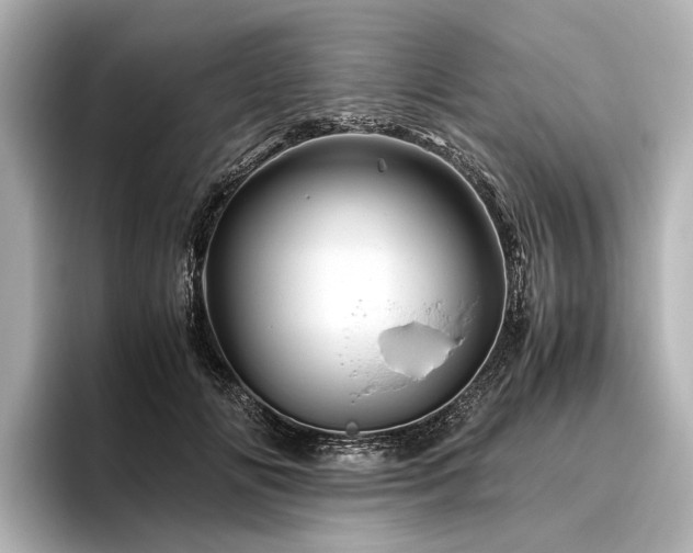 X0000096440702200801241359