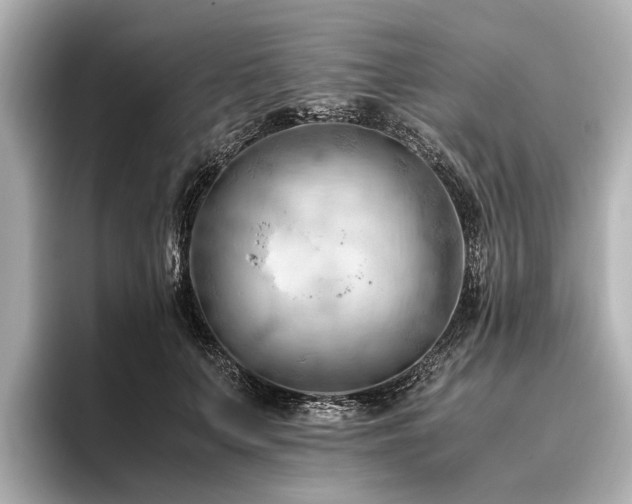 X0000096440703200801241359