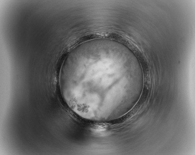 X0000096440707200801241359