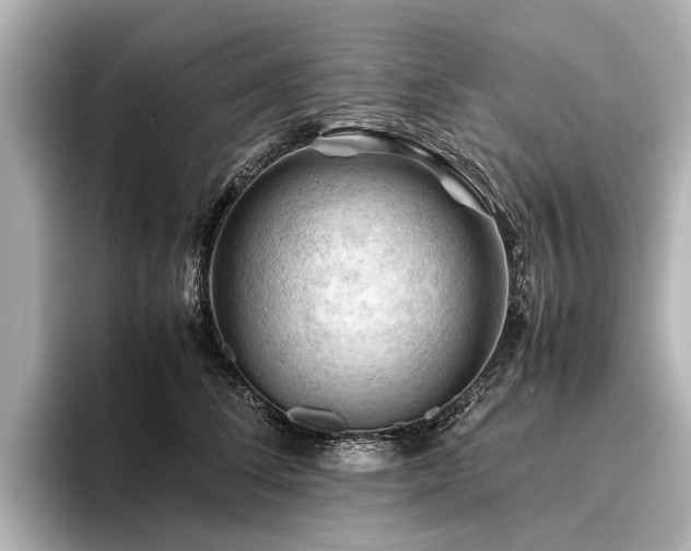X0000096440708200801241359