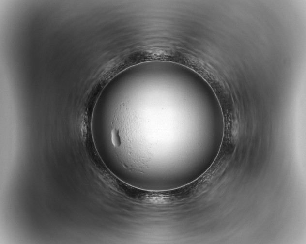 X0000096440710200801241358