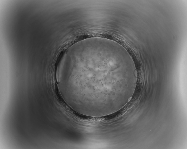 X0000096440711200801241358