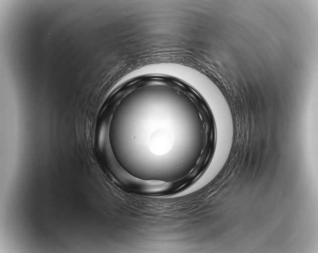 X0000096440712200801241358