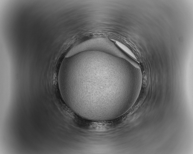 X0000096440713200801241358