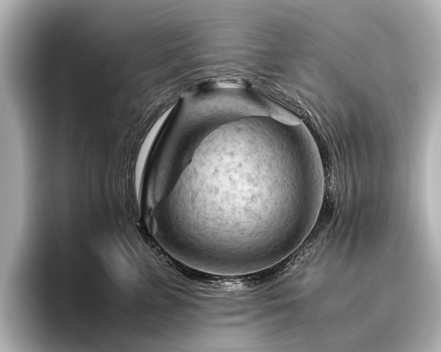 X0000096440715200801241358