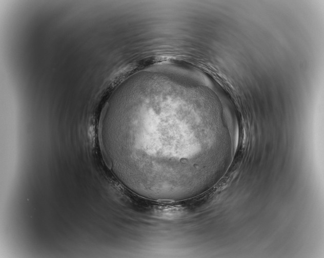 X0000096440716200801241358