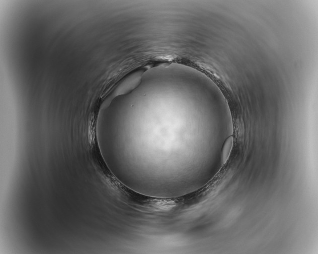 X0000096440719200801241358