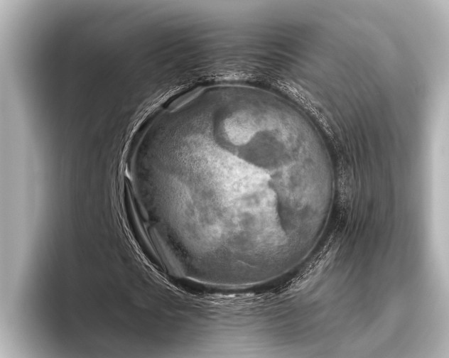 X0000096440721200801241358
