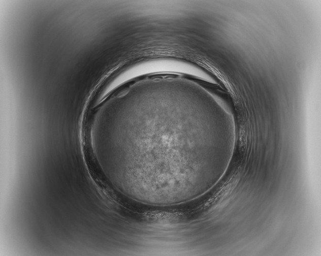 X0000096440722200801241358