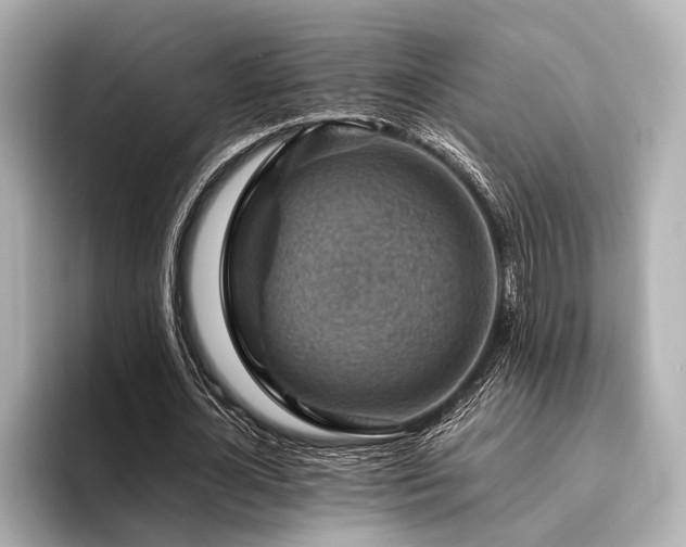 X0000096440724200801241358