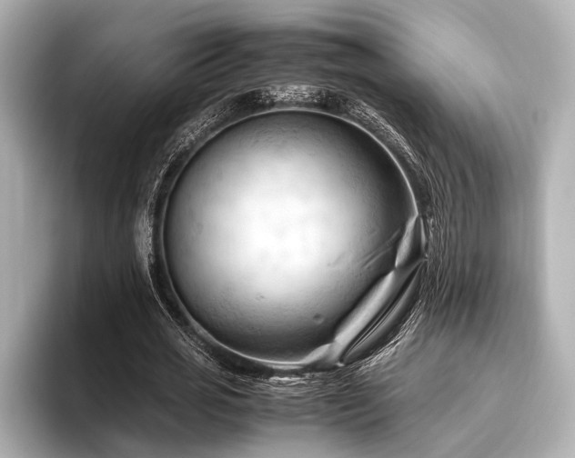 X0000096440725200801241358