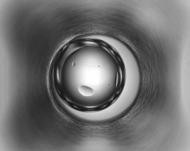 X0000096440726200801241358