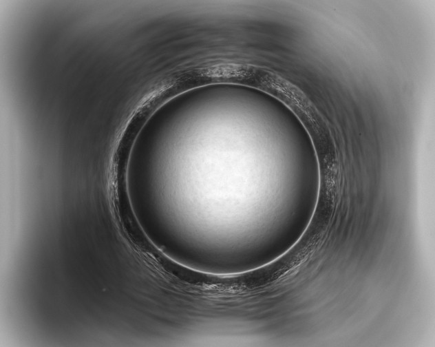 X0000096440727200801241358