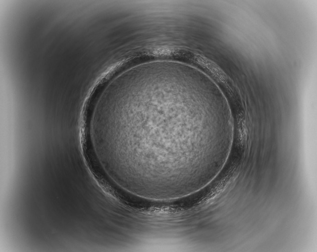 X0000096440728200801241358