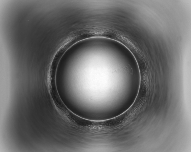 X0000096440730200801241358