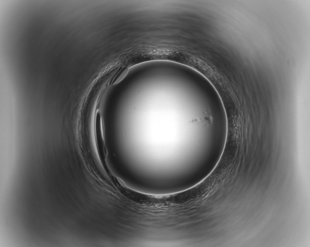 X0000096440731200801241358