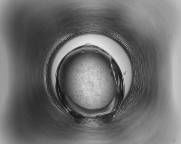 X0000096440732200801241358