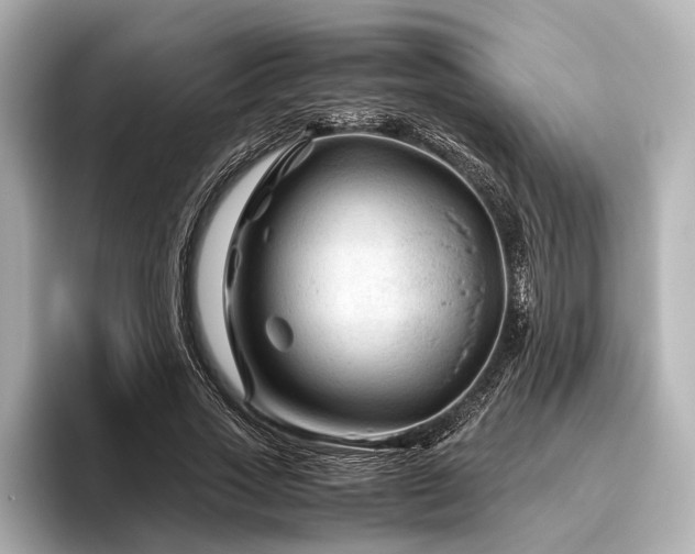 X0000096440733200801241358