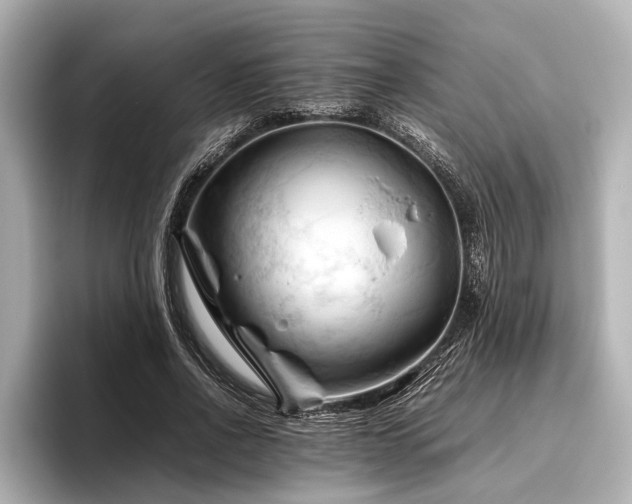 X0000096440734200801241358