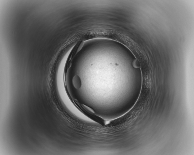 X0000096440735200801241358