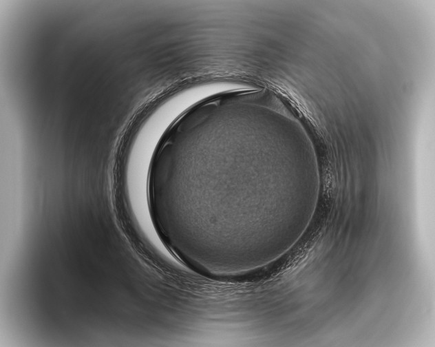 X0000096440736200801241358
