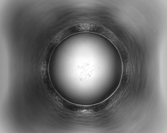 X0000096440737200801241358