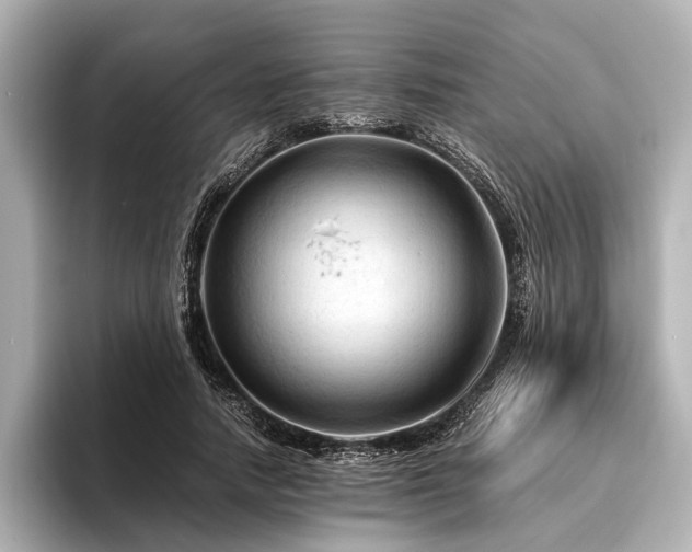 X0000096440738200801241358
