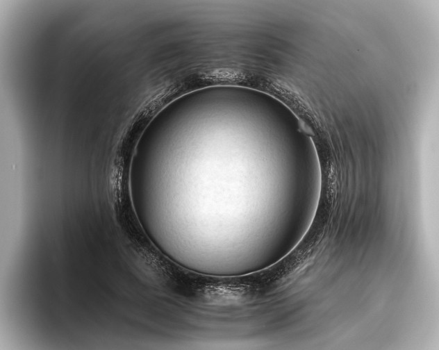 X0000096440739200801241358