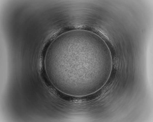 X0000096440740200801241358