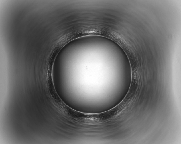 X0000096440741200801241358