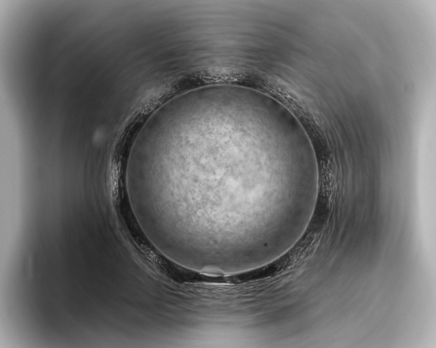 X0000096440742200801241358